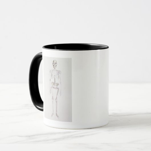 Skelett von Australopithecus africanus Tasse (Vorderseite Links)