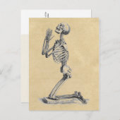 Skelettanatomie der Knochen Postkarte (Vorne/Hinten)