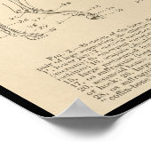 Skelettanatomie Poster (Ecke)