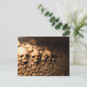 Skelettanordnung, Katakomben von Paris Postkarte (Stehend Vorderseite)