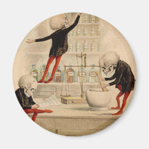 Skelettartige Apotheke Magnet