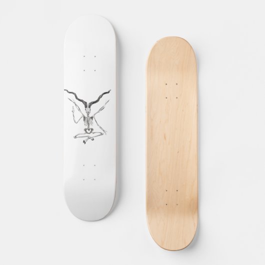 Skelettartiges Baphomet Skateboard (Vorderseite)
