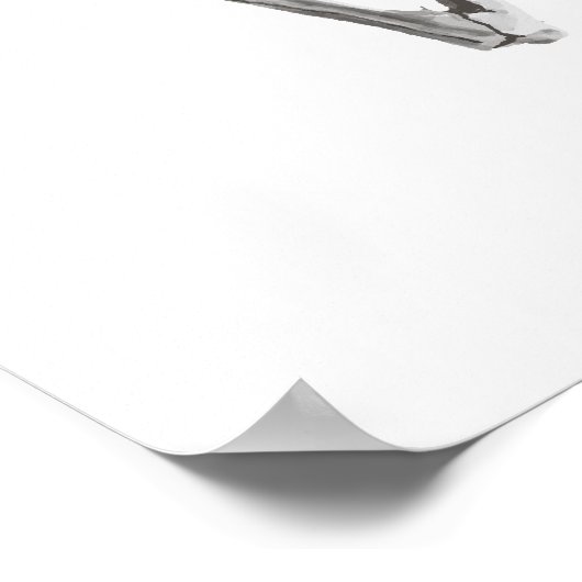 Skelettbaphomet-Poster Poster (Ecke)