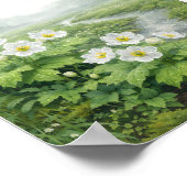 Skelettblume (Diphylleia grayi) – Kunstdruck Poster (Ecke)