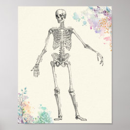 Skelettdiagramm zur Blume der Vintagen Anatomie Poster