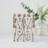 Skelette aus Brockhaus & Efron-Enzyklopädie Postkarte (Stehend Vorderseite)