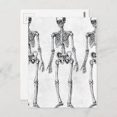 Skelette Postkarte (Vorne/Hinten)