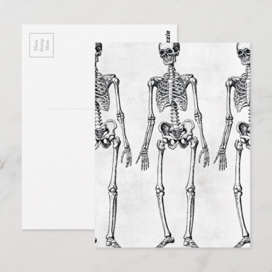 Skelette Postkarte (Vorne/Hinten)