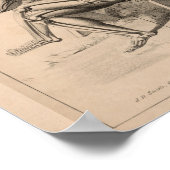 Skelette Vintage Anatomie Art Print 1827 Poster (Ecke)