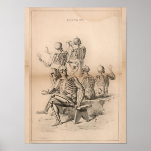 Skelette Vintage Anatomie Art Print 1827 Poster