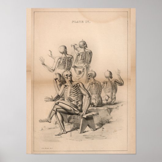 Skelette Vintage Anatomie Art Print 1827 Poster (Vorne)