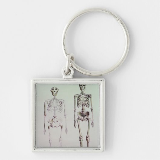 Skelette von Australopithecus Boisei Schlüsselanhänger (Vorne)