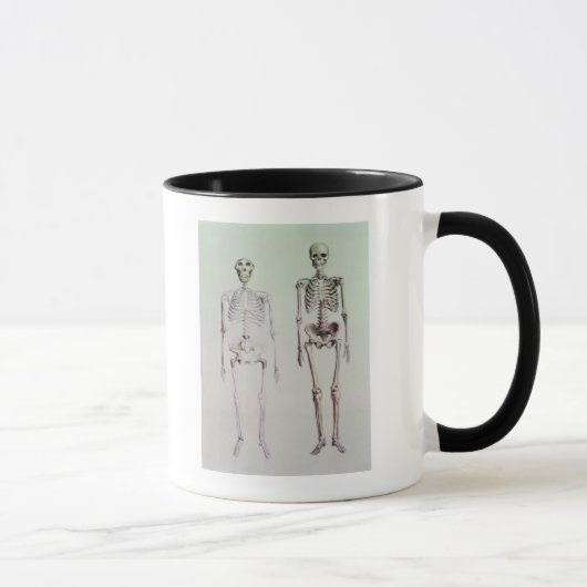 Skelette von Australopithecus Boisei Tasse (Rechts)