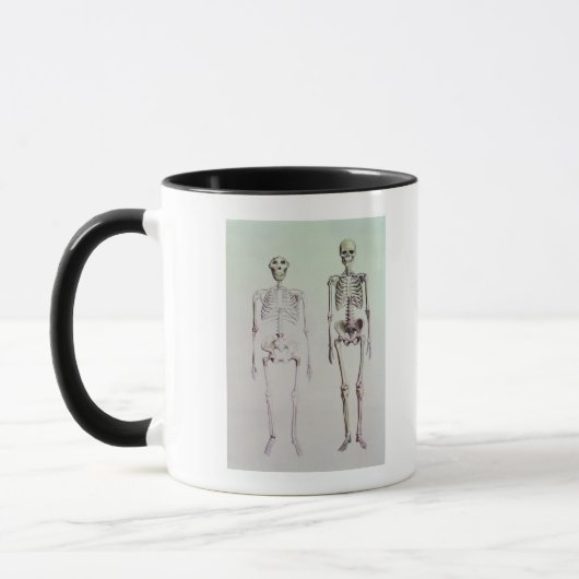 Skelette von Australopithecus Boisei Tasse (Links)