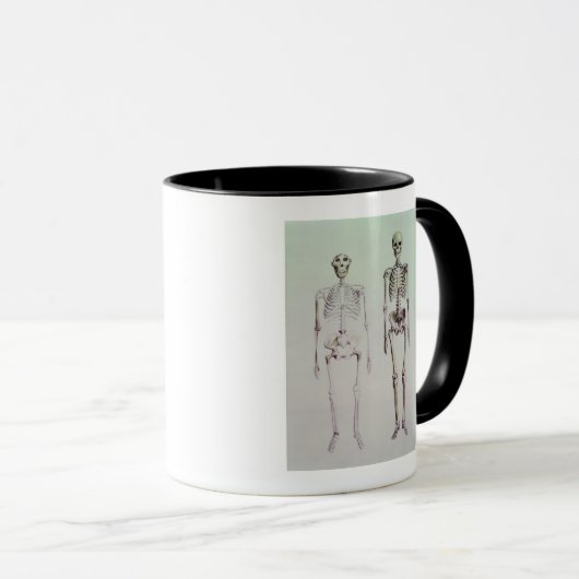 Skelette von Australopithecus Boisei Tasse (VorderseiteRechts)