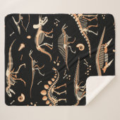 Skelette von Dinosauriern und Fossilien Sherpadecke (Vorderseite (Horizontal))