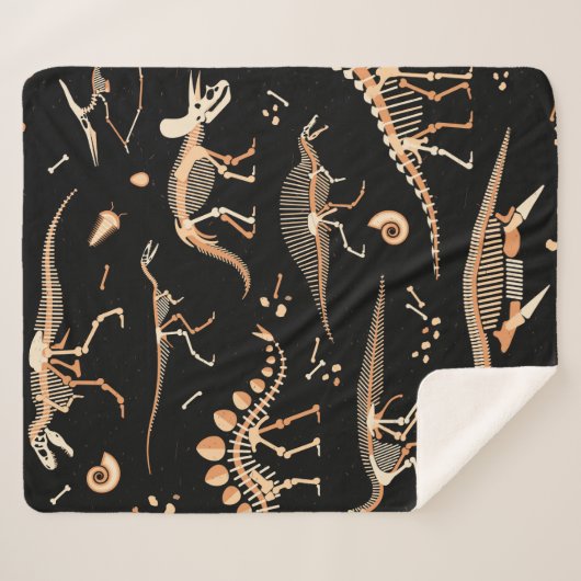 Skelette von Dinosauriern und Fossilien Sherpadecke (Vorderseite (Horizontal))