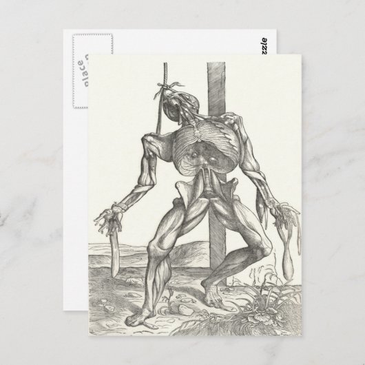 Skelettkadaver Korpusanatomie Medizin Postkarte (Vorne/Hinten)