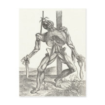 Skelettkadaver Korpusanatomie Medizin