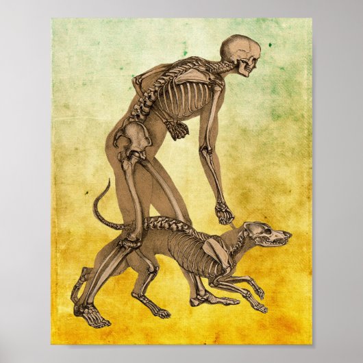 Skelettkunst Mensch und Hund Anatomie menschlicher Poster (Vorne)