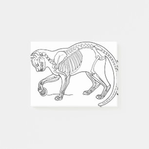 Skelettlinien Kunstbiologie Post-it Klebezettel