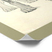 Skelettmuskelanatomie des Hundes Druck Poster (Ecke)