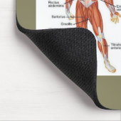 Skelettmuskeldiagramme - Medikamente101 Mousepad (Ecke)