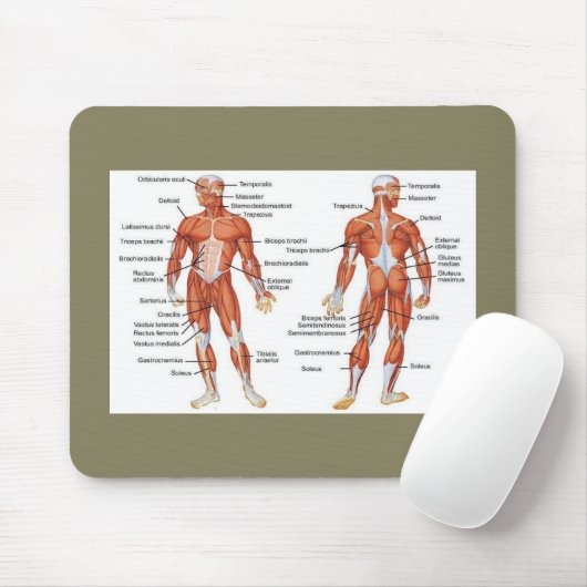 Skelettmuskeldiagramme - Medikamente101 Mousepad (Mit Mouse)