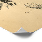 Skelettmuskeln des Hundes Anatomie 1908 Vintag dru Poster (Ecke)