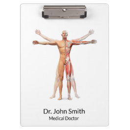 Skelettmuskeln des menschlichen Körpers - Zwischen Klemmbrett