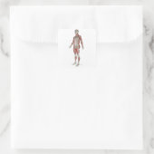 Skelettmuskulatur 3 quadratischer aufkleber (Tasche)