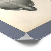 Skelettmuskulatur-Anatomie bei Pferden Druck Poster (Ecke)