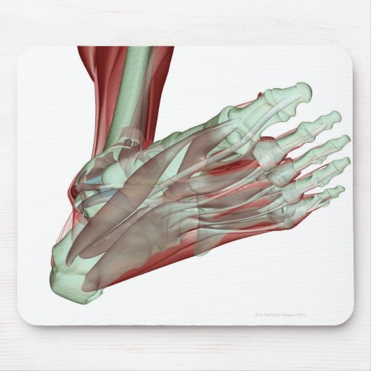 Skelettmuskulatur-Skelett 2 Mousepad (Vorne)