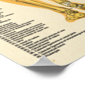 Skelettmuskulatur Skelettanatomie Diagramm im hint Poster (Ecke)