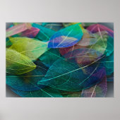 Skeletton-Blätter Poster (Vorne)