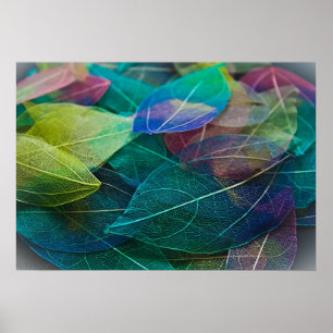 Skeletton-Blätter Poster