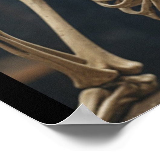 Skelettplakat Poster (Ecke)