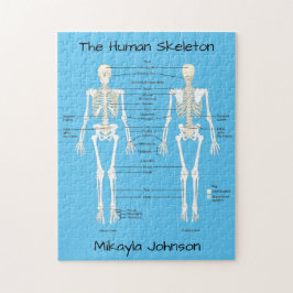 Skelettpuzzle Puzzle