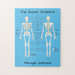 Skelettpuzzle Puzzle