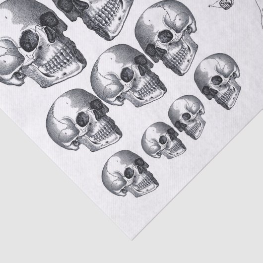 Skelettschädel Skulls Knochen Decoupage Collage Ti Seidenpapier (Ausschnitt)