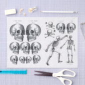 Skelettschädel Skulls Knochen Decoupage Collage Ti Seidenpapier (Handwerk)