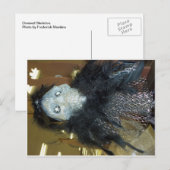 Skelettverkleidung Postkarte (Vorne/Hinten)