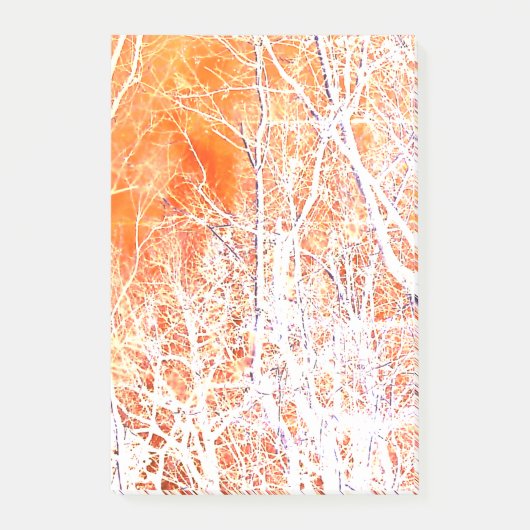 Skelettwald II Post-it Klebezettel (Vorderseite)