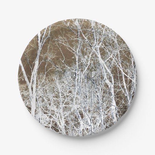 Skelettwald Pappteller (Vorderseite)