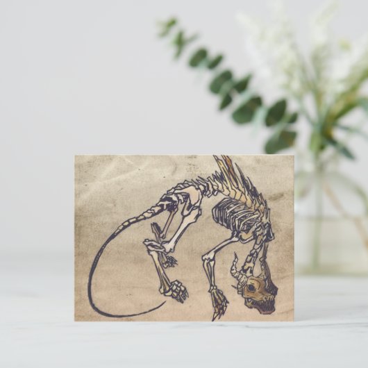 Skellie Postcard Postkarte (Stehend Vorderseite)