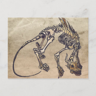 Skellie Postcard Postkarte