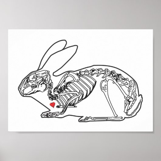 SKELLY BUN POSTER (Vorne)