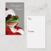 Skeptical Santa Frog schüchtern oder schön zu: Von Mitteilungskarte (Vorne/Hinten)