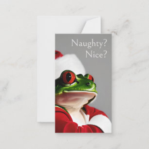 Skeptical Santa Frog schüchtern oder schön zu: Von Mitteilungskarte