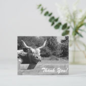 Skeptikkühe Danke, Postcard Postkarte (Stehend Vorderseite)